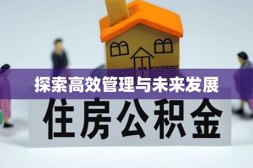 尖扎探索高效管理与未来发展