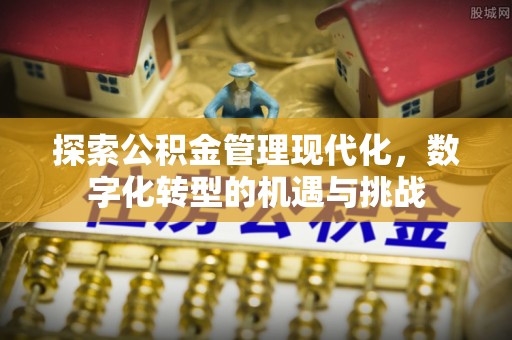 尖扎探索公积金管理现代化，数字化转型的机遇与挑战