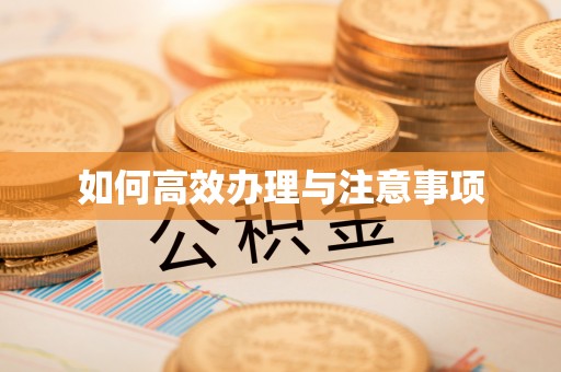 尖扎如何高效办理与注意事项