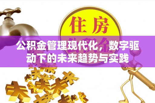 尖扎公积金管理现代化，数字驱动下的未来趋势与实践