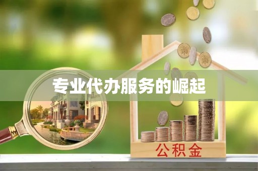 尖扎专业代办服务的崛起