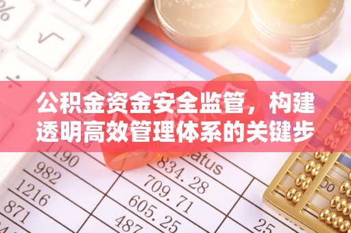 尖扎公积金资金安全监管，构建透明高效管理体系的关键步骤