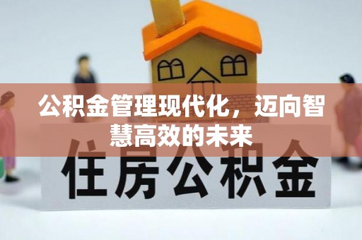 尖扎公积金管理现代化，迈向智慧高效的未来