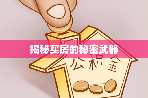 尖扎揭秘买房的秘密武器