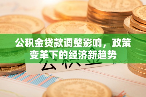 尖扎公积金贷款调整影响，政策变革下的经济新趋势