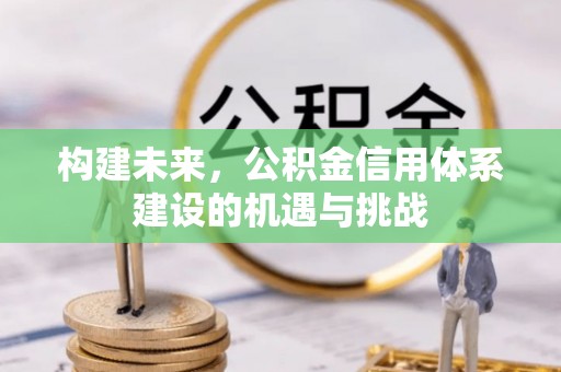 尖扎构建未来，公积金信用体系建设的机遇与挑战