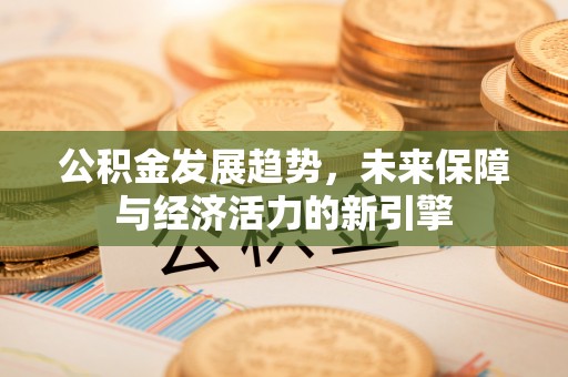 尖扎公积金发展趋势，未来保障与经济活力的新引擎