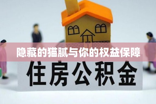 尖扎隐藏的猫腻与你的权益保障