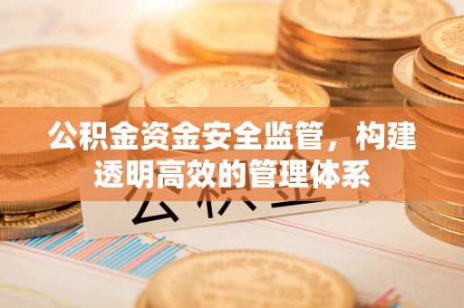 尖扎公积金资金安全监管，构建透明高效的管理体系
