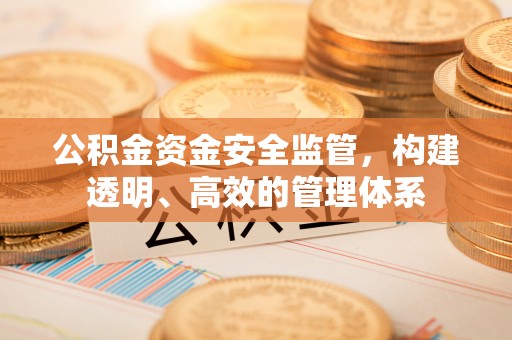 尖扎公积金资金安全监管，构建透明、高效的管理体系