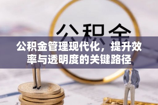 尖扎公积金管理现代化，提升效率与透明度的关键路径