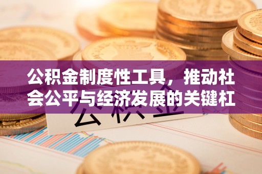 尖扎公积金制度性工具，推动社会公平与经济发展的关键杠杆