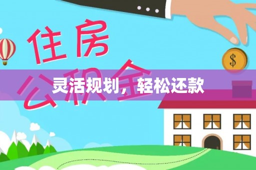 尖扎灵活规划，轻松还款