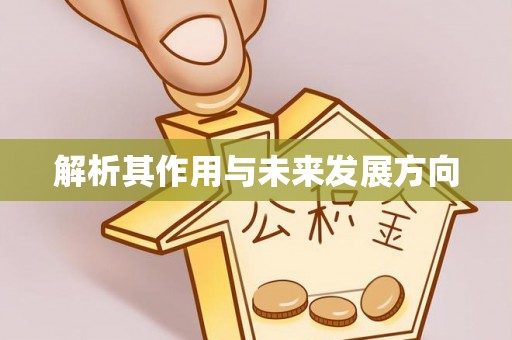 尖扎解析其作用与未来发展方向