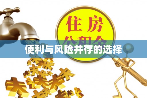 尖扎便利与风险并存的选择