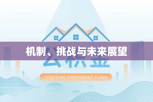 尖扎机制、挑战与未来展望