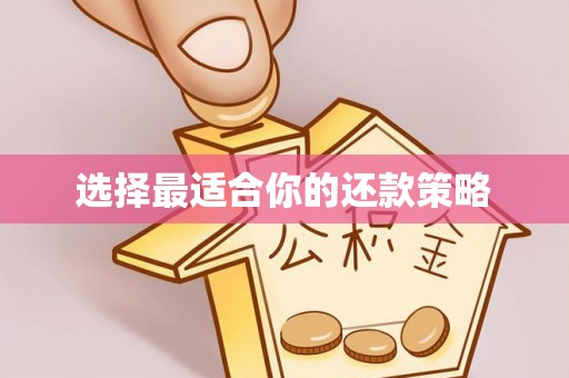 尖扎选择最适合你的还款策略